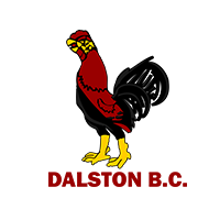 DALSTON BC badge